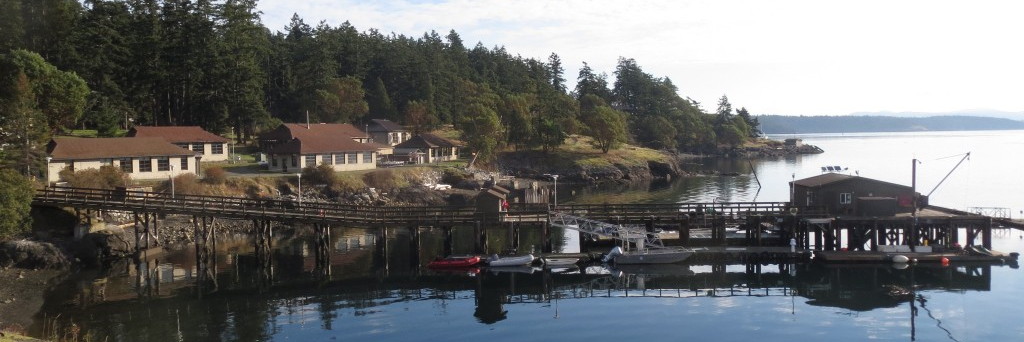 friday harbor marine lab