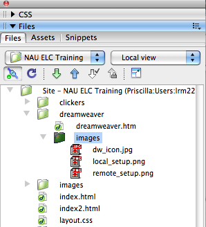 Files window