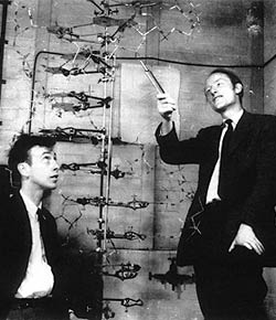 Watson and Crick