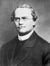 Gregor Mendel