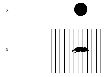 blind spot test