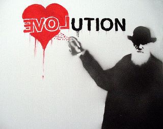 ELovution