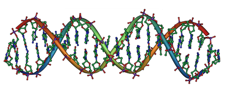 comparing DNA sequences
