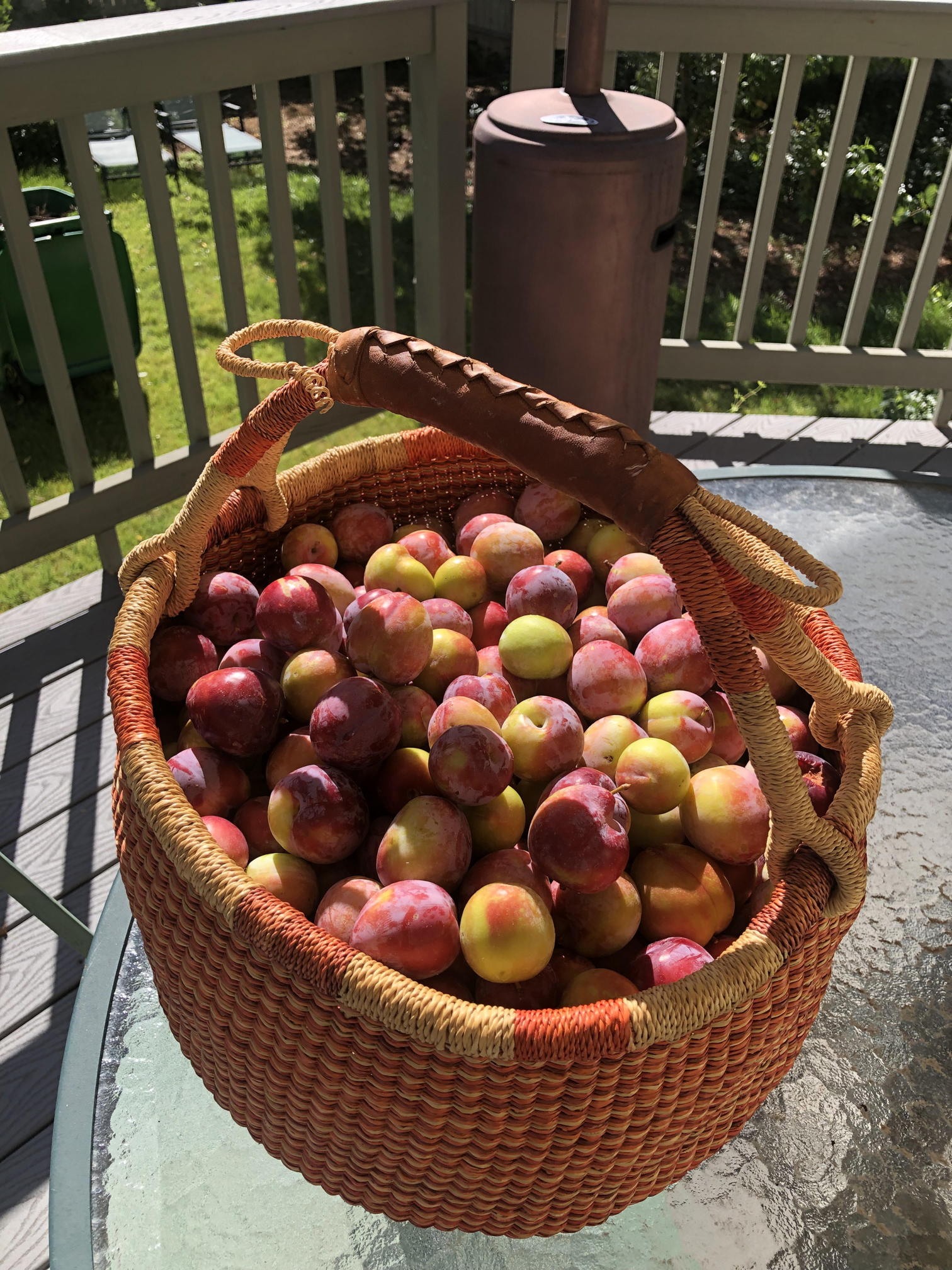 plums in basket