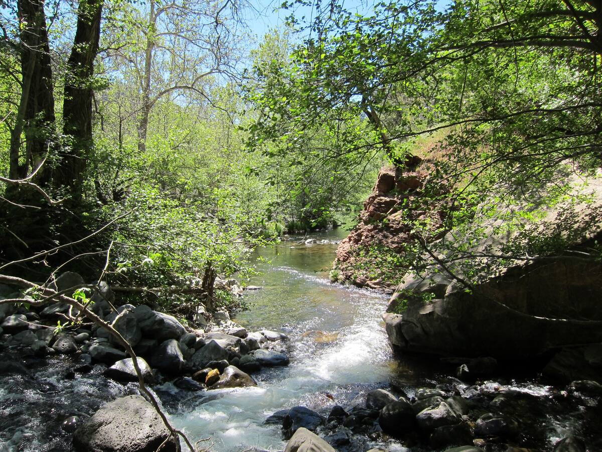 oak creek swimming hole