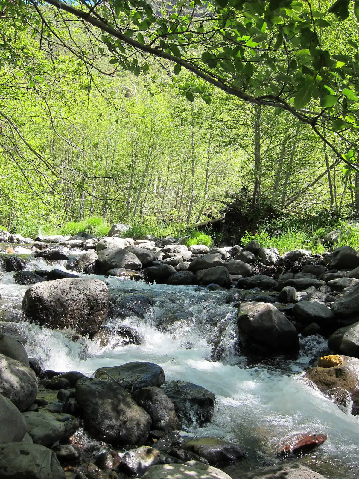 oak creek
