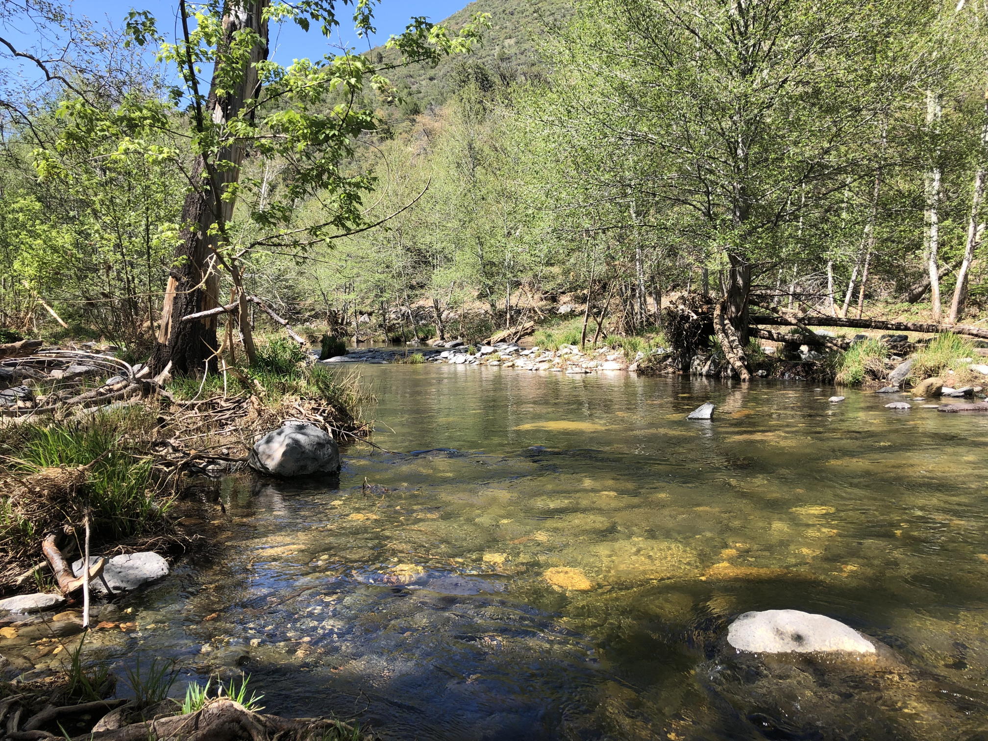 oak creek